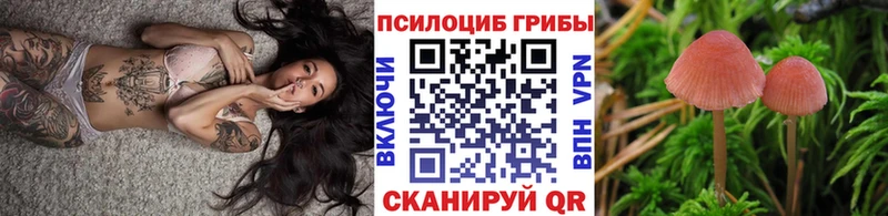 Псилоцибиновые грибы Psilocybine cubensis  Хилок 